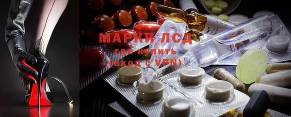 apvp Алексин