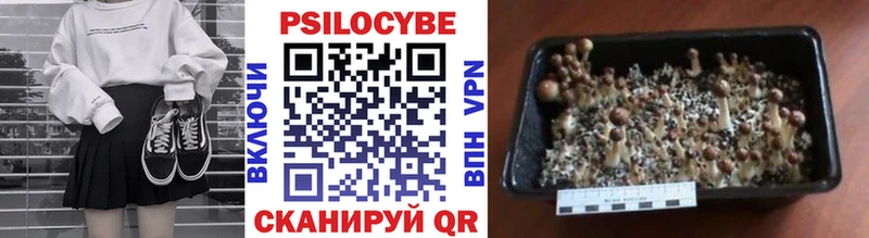 hydra ONION  Астрахань  Псилоцибиновые грибы Magic Shrooms  купить  цена 